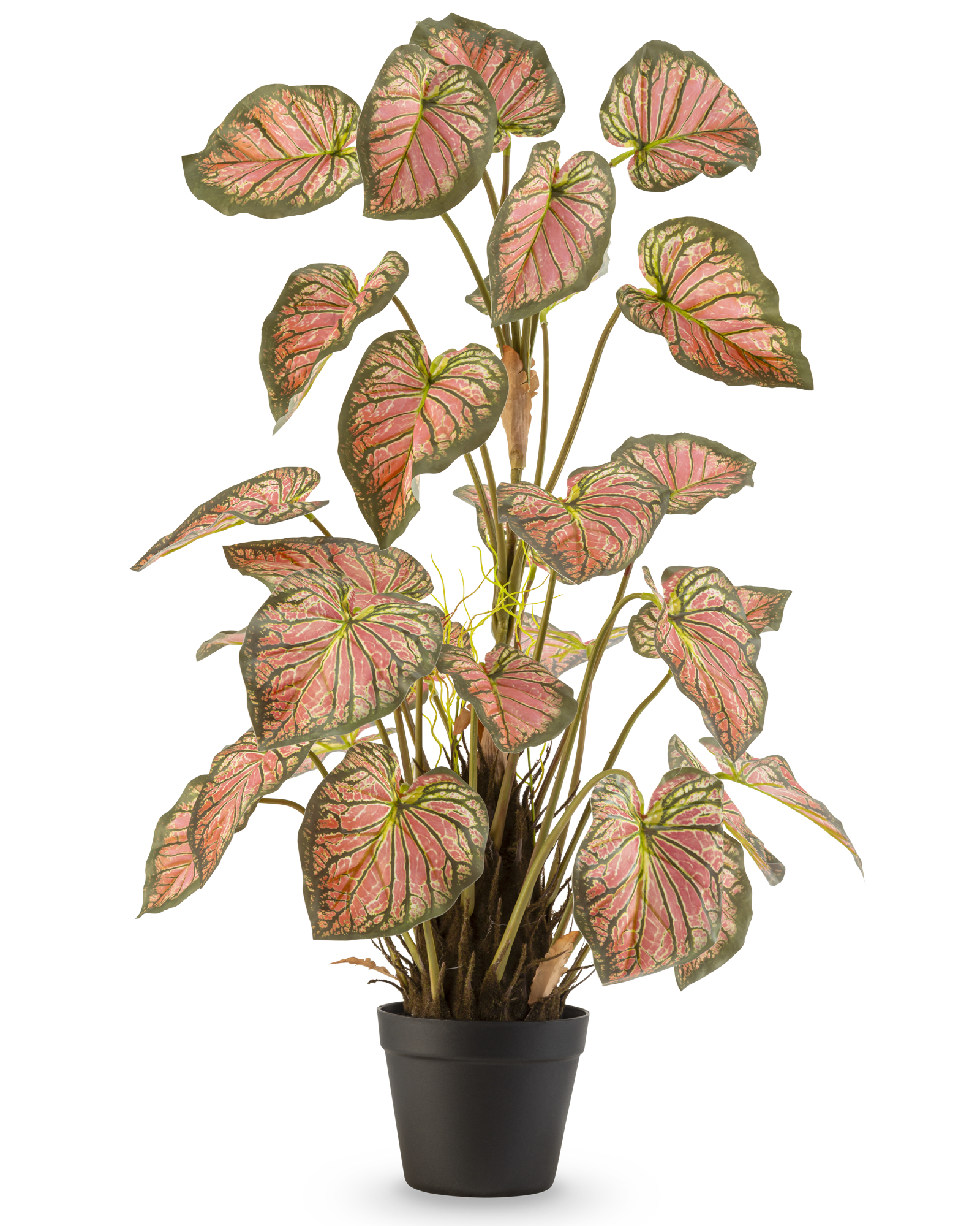 Professionele productfoto van een kleurrijke kunstplant met grote roze en groene bladeren in een zwarte plantenpot.