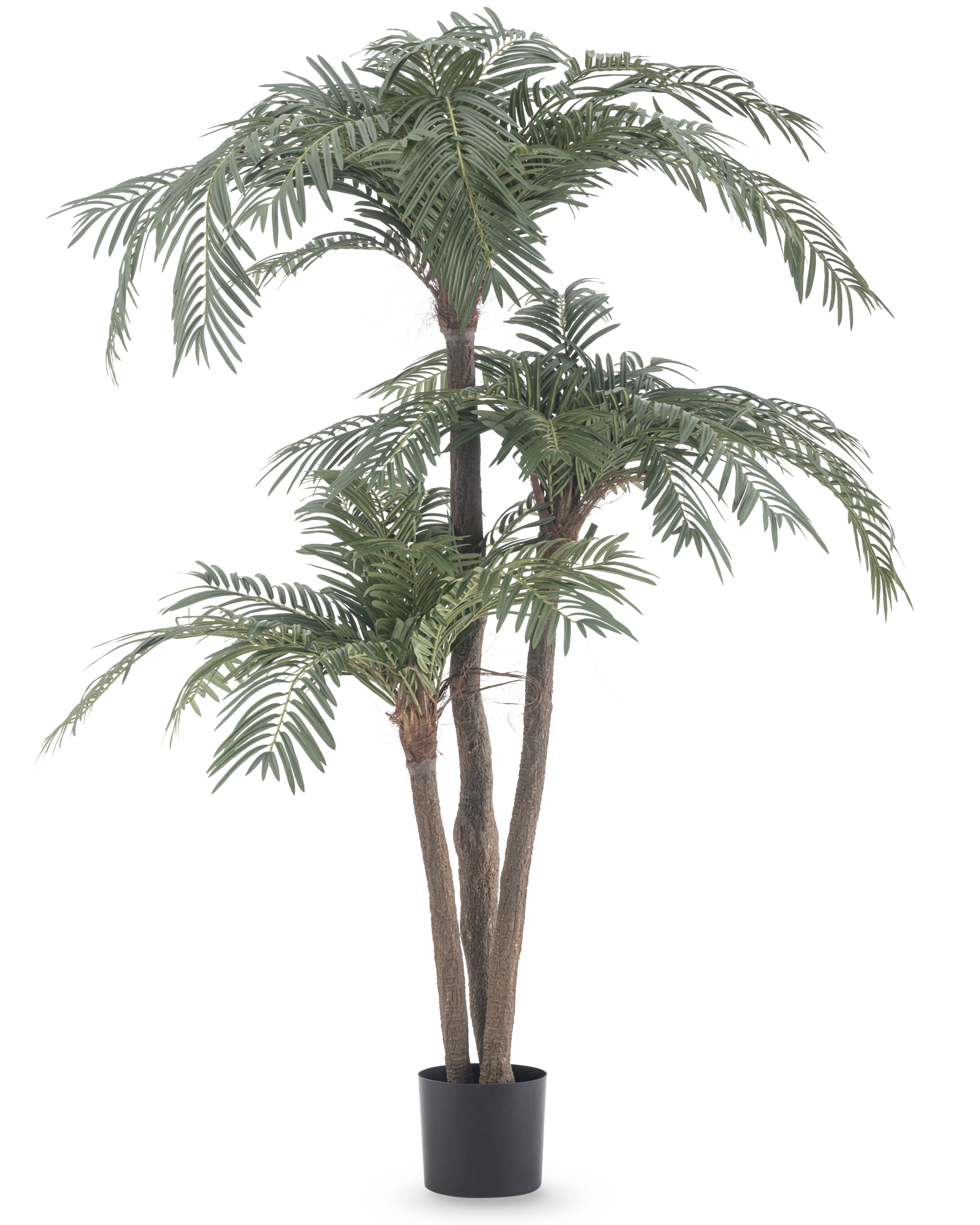 Professionele productfotografie van een grote kunstpalm met meerdere stammen en groene palmbladeren, vrijstaand gefotografeerd.
