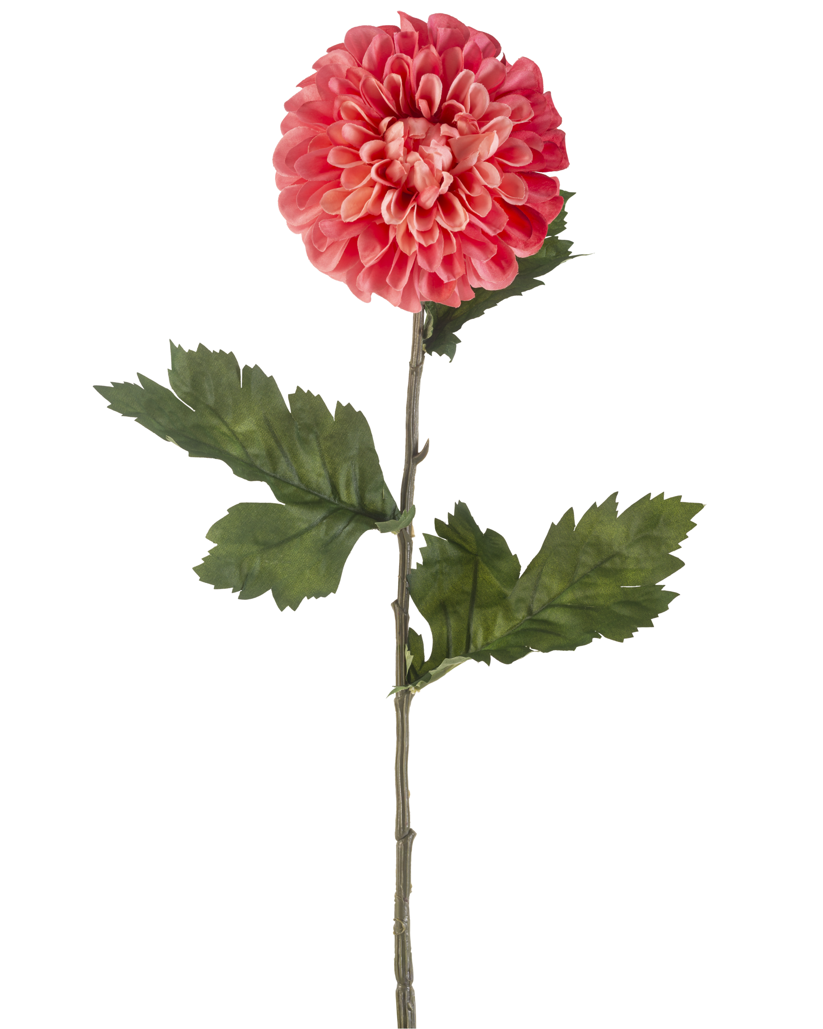Vrijstaande productfoto van een grote koraalrode kunstbloem met groene bladeren en lange steel, professioneel gefotografeerd.